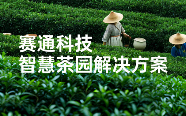 五五世纪(中国游)官方网站科技发布智慧茶园解决方案
