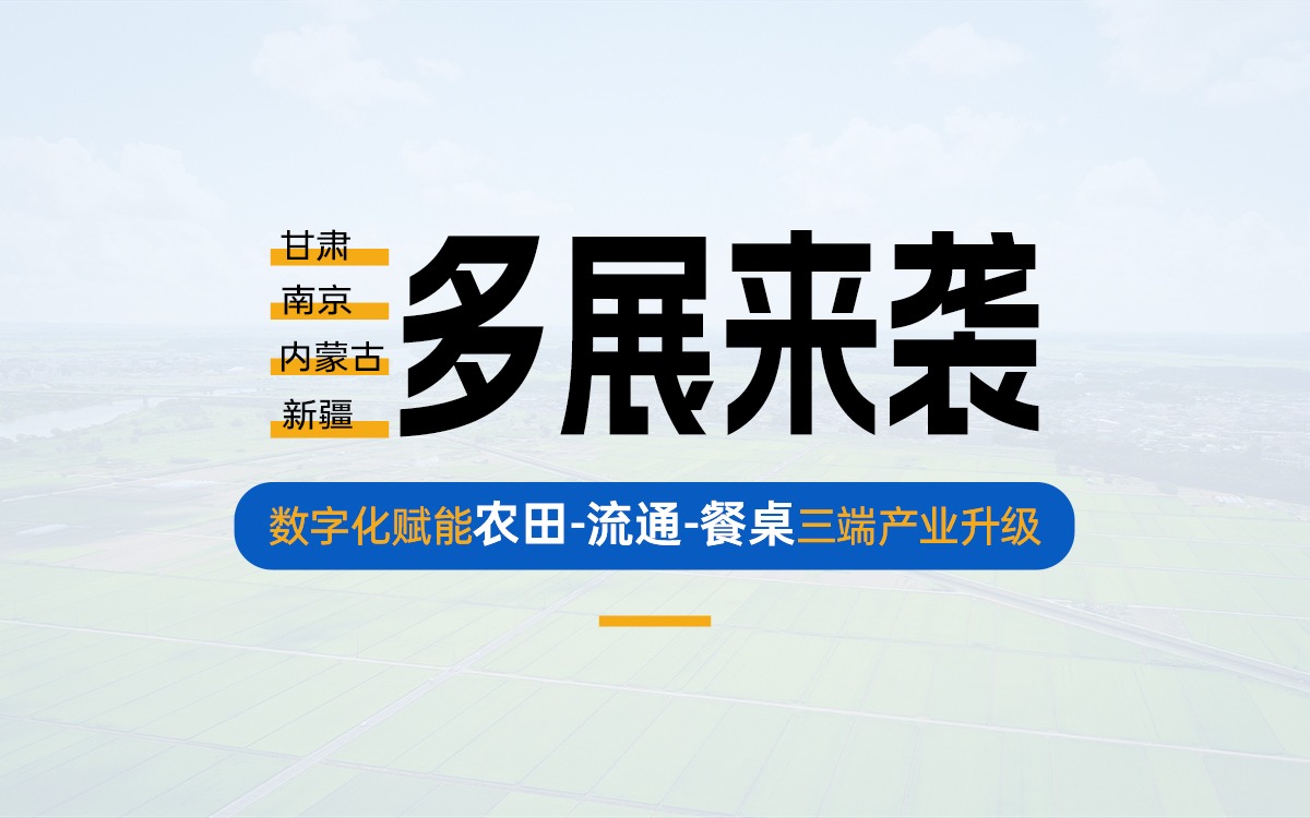 盛夏多展来袭，共探产业数字化新路径