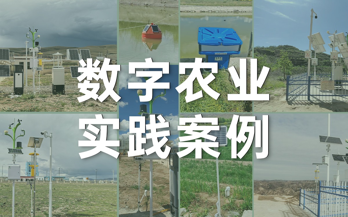 案例深一度 | 五五世纪(中国游)官方网站科技如何用数字科技赋能西部农业